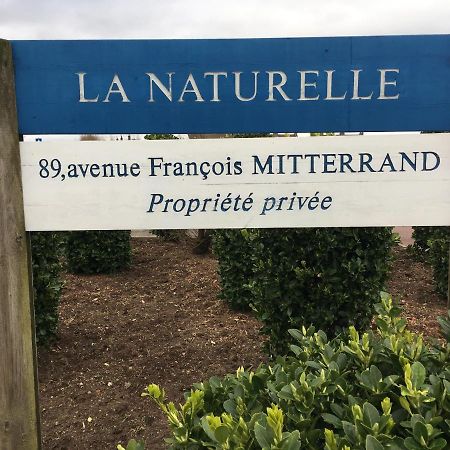 Vue Mer Sur La Cote D'Opale, Studio La Naturelle Pour 4 Personnes , Wimereux Exterior photo